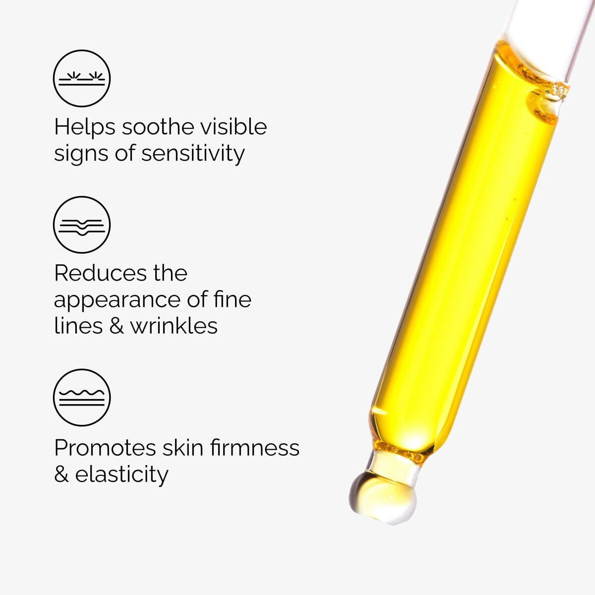 100% Fermented Rose Hip Seed Oil - Skin Support
