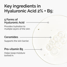 Acid 2% + B5 (with Ceramides) - Classic Wear
