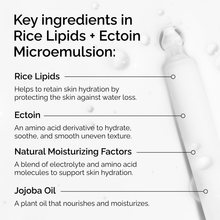 Rice Lipids + Ectoin Microemulsion - Home Choice