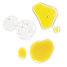 The Antioxidant Collection - Gift Ready